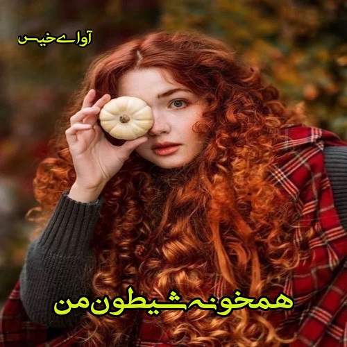 دانلود کتاب همخونه شیطون من  از دینا