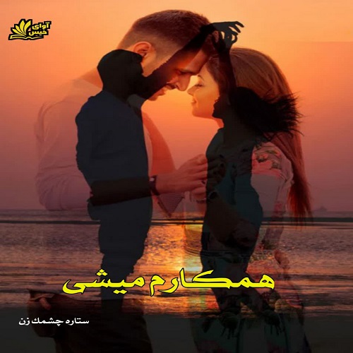 دانلود کتاب همکارم میشی  از ستاره چشمک زن با