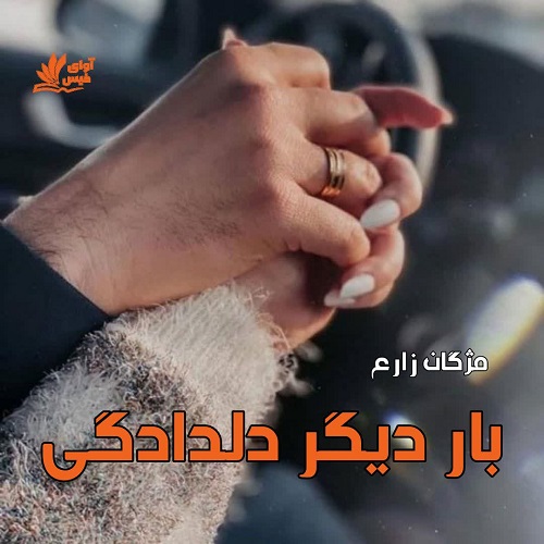 دانلود کتاب بار دیگر دلدادگی  مژگان زارع با
