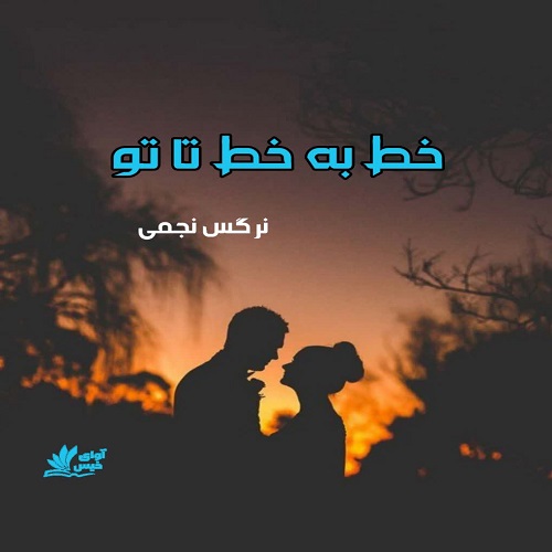 دانلود کتاب خط به خط تا تو  نرگس نجمی با