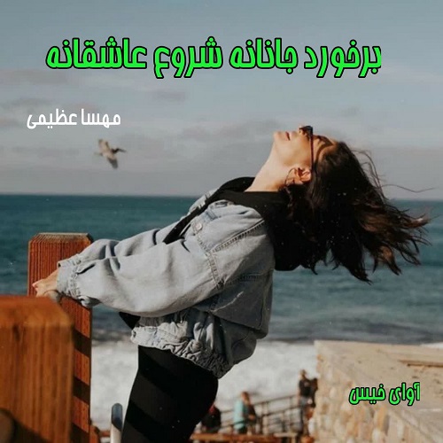 دانلود کتاب برخورد جانانه شروع عاشقانه  از مهسا عظیمی