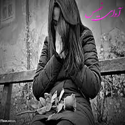 دانلود کتاب خرمگس  اتل ویلیان وینیچ با