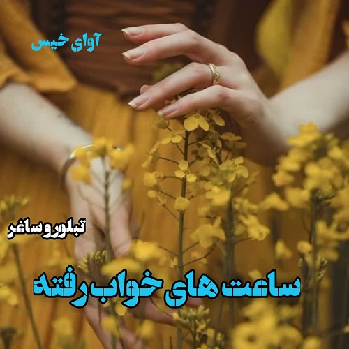 دانلود کتاب ساعت های خواب رفته  از تبلور و ساغر 