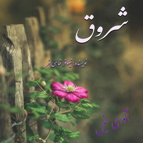 دانلود کتاب شروق  از نیلوفر قائمی فر