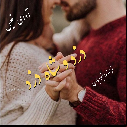 دانلود کتاب دزد و شاه دزد  از شیوا بادی
