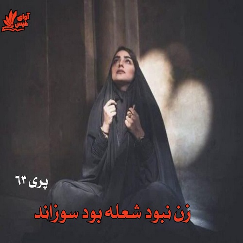 دانلود کتاب زن نبود شعله بود سوزاند  از پری۶۳