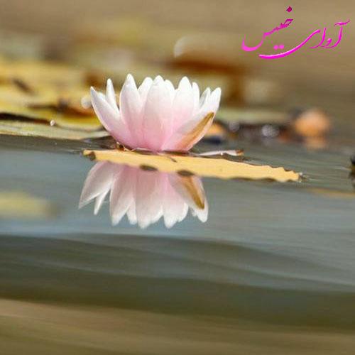 دانلود کتاب عاشقانه_آوای خیس
