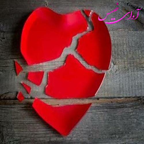دانلود کتاب مزایده ی یک قلب شکسته  از نیلوفر لاری لینک مستقیم