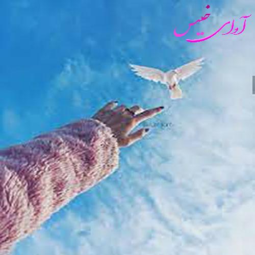 دانلود کتاب دست خط خدا  از فاطمه حیدری