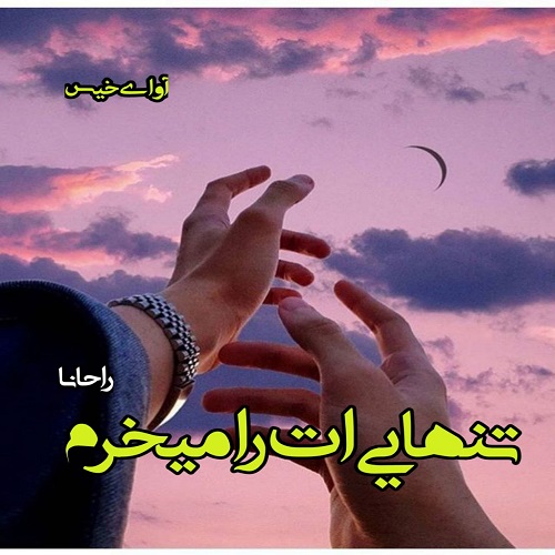 دانلود کتاب تنهایی ات را میخرم  از راحانا