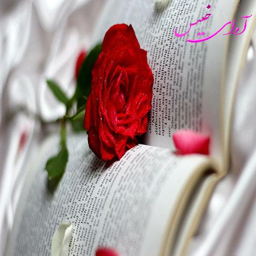 دانلود کتاب قول میدم خوشبختت کنم  از فائزه بهشتی راد