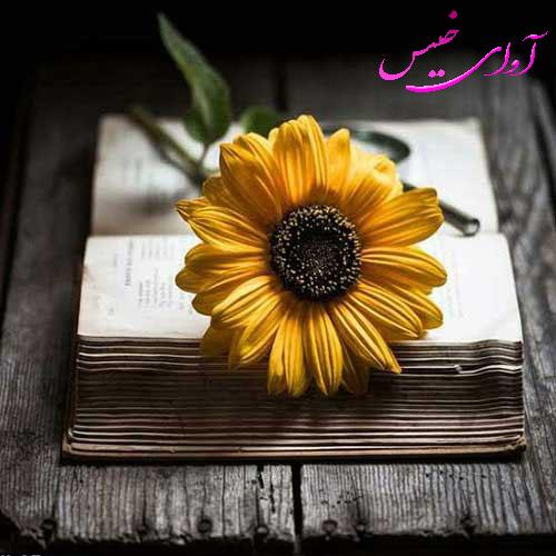 دانلود کتاب عاشقانه_آوای خیس