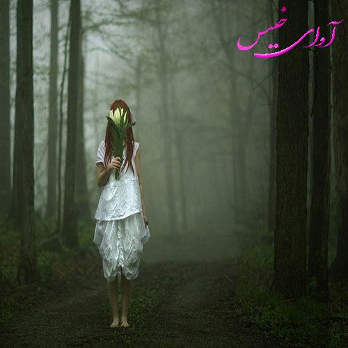 دانلود کتاب به کام و آرزوی دل  از شاذه با