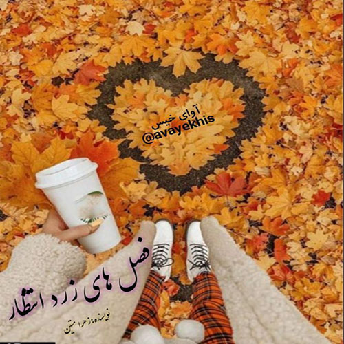 دانلود کتاب فصل های زرد انتظار  از زهرا متین