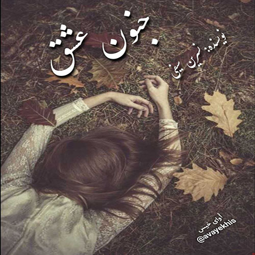 دانلود کتاب جنون عشق  از نسرین سیفی