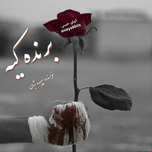 دانلود کتاب عاشقانه_آوای خیس