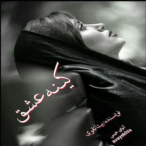 دانلود کتاب کینه عشق  از بیتا تقوی