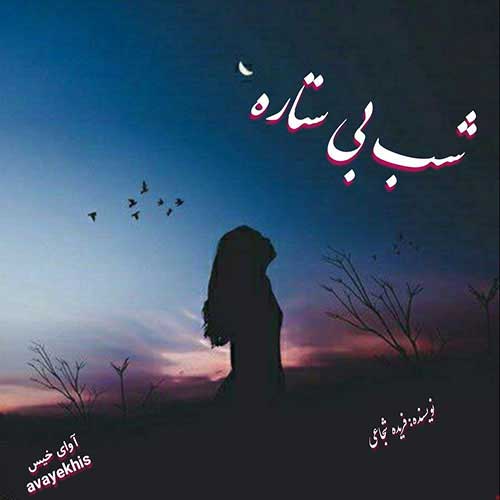 دانلود کتاب شب بی ستاره  از فریده شجاعی با لینک مستقیم