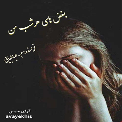 دانلود کتاب بغض های هر شب من