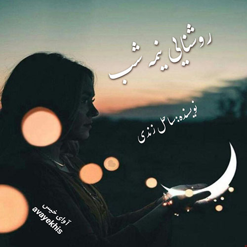دانلود کتاب روشنایی نیمه شب  از ساحل زندی