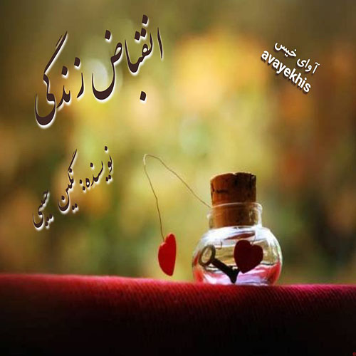 دانلود کتاب انقباض زندگی  از نگین حبیبی