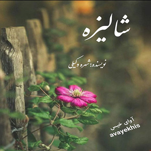 دانلود کتاب شالیزه  از شهره وکیلی