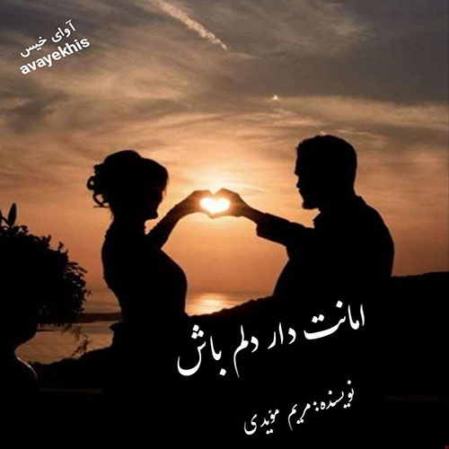 دانلود کتاب امانت دار دلم باش  از مریم‌ مؤیدی