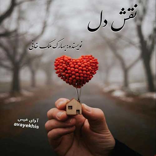 دانلود کتاب نقش دل
