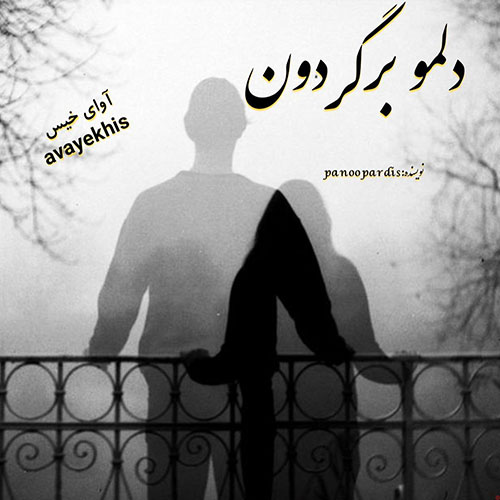 دانلود کتاب دلمو برگردون