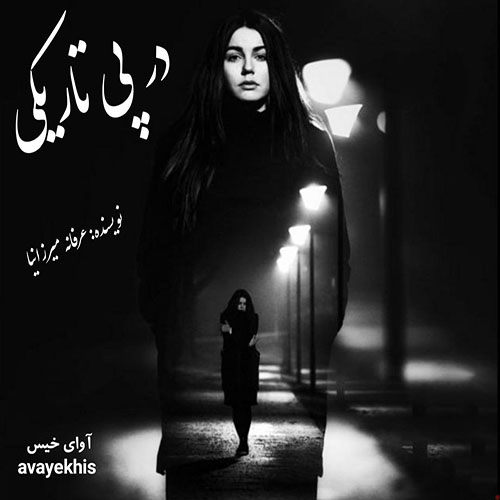 دانلود کتاب در پی تاریکی  از عرفانه میرزانیا