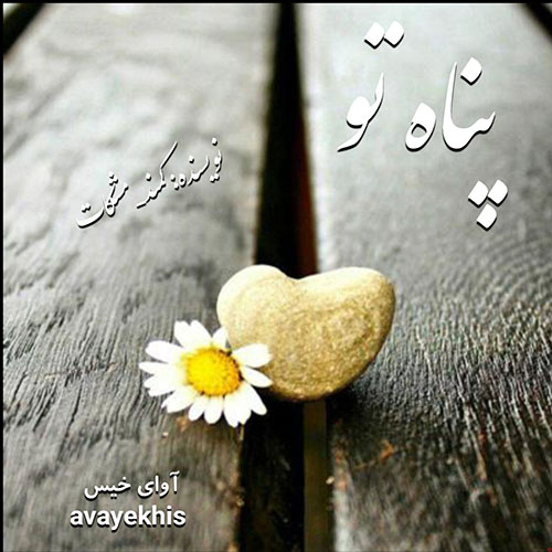 دانلود کتاب پناه تو