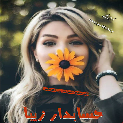  دانلود کتاب حسابدار زیبا  از ناشناس بی احساس