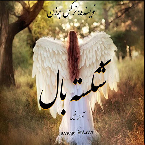 کتاب شکسته بال