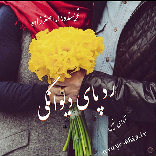 کتاب رد پای دیوانگی