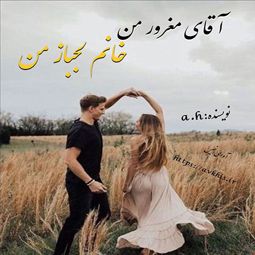کتاب آقای مغرور من خانم لجباز من