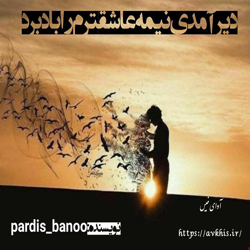 کتاب دیر آمدی نیمه عاشقترم را باد برد