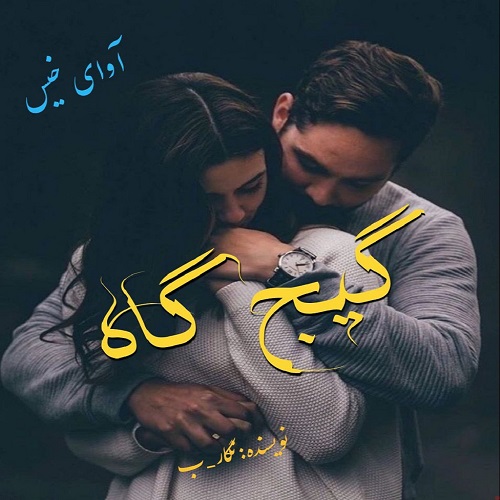 کتاب گیچ گاه