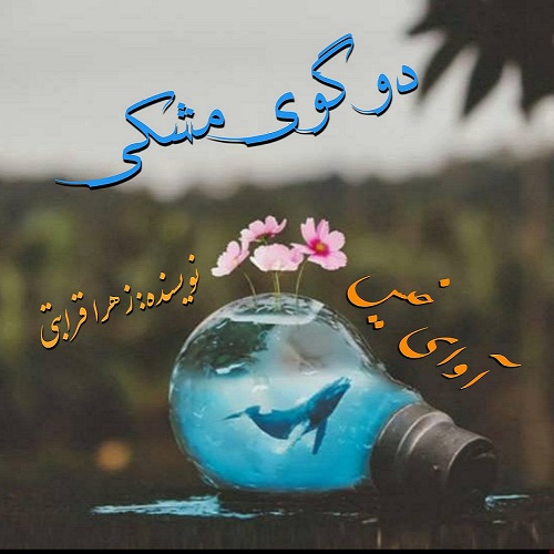 داستان دو گوی مشکی