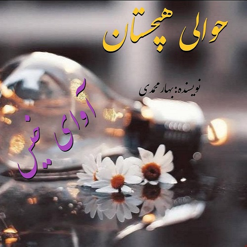 کتاب حوالی هیچستان