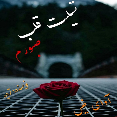 کتاب تسلیت قلب صبورم
