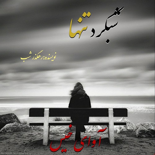 کتاب شبگرد تنها