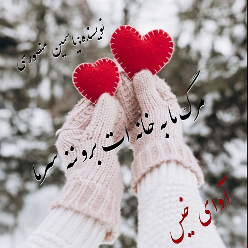 دانلود کتاب مرگ ما به خانه ات برو ننه سرما  از یاسمین منصوری
