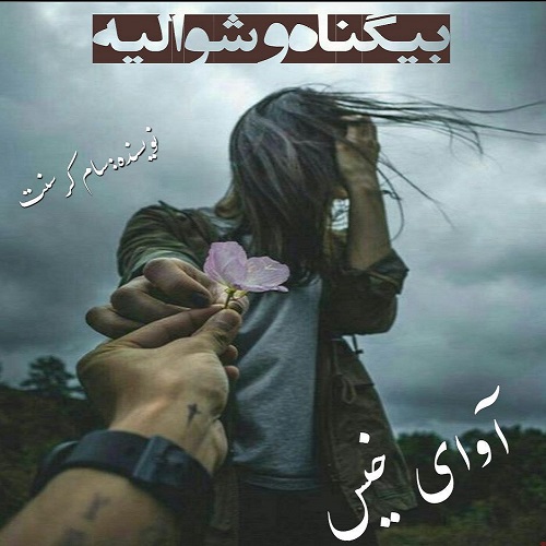کتاب بیگناه و شوالیه