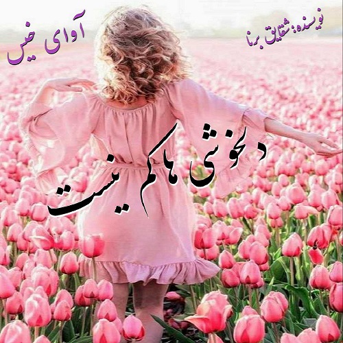 دانلود کتاب دلخوشی ها کم نیست  از صدیقه احمدی