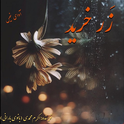 دانلود کتاب زرخرید  از اکرم محمدی