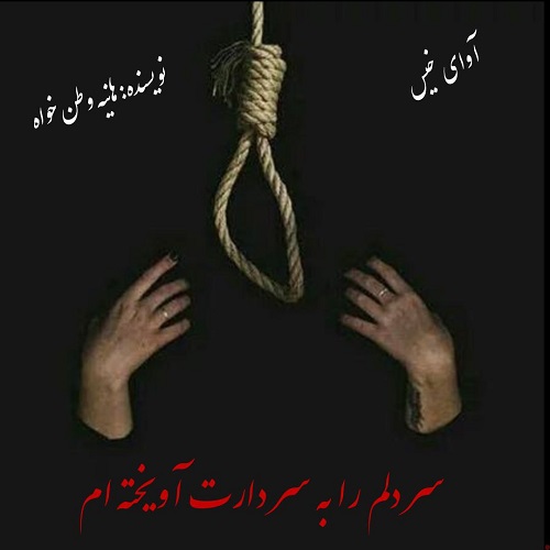 دانلود کتاب سر دلم را به سر دارت آویخته ام  از هانیه وطن خواه
