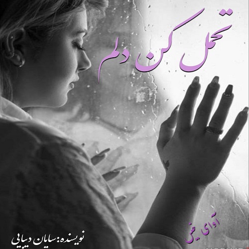 کتاب تحمل کن دلم
