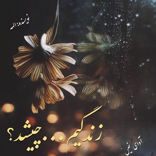 دانلود کتاب زندگیم…چیشد؟  از الهه