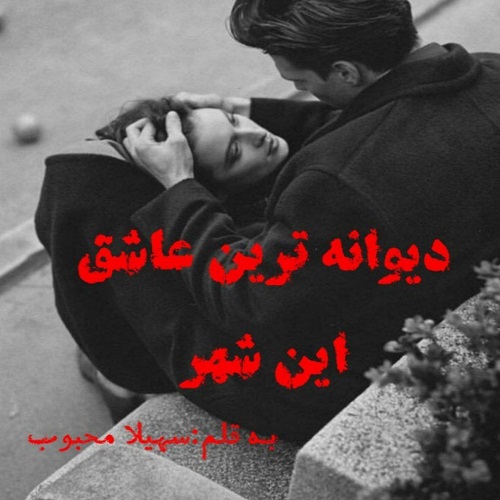 دانلود کتاب دیوانه ترین عاشق این شهر  از سهیلا مجبوب