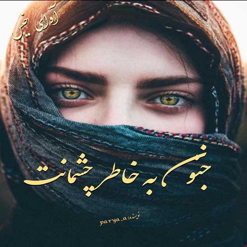 دانلود کتاب جنون به خاطر چشمانت  از پریا افزا